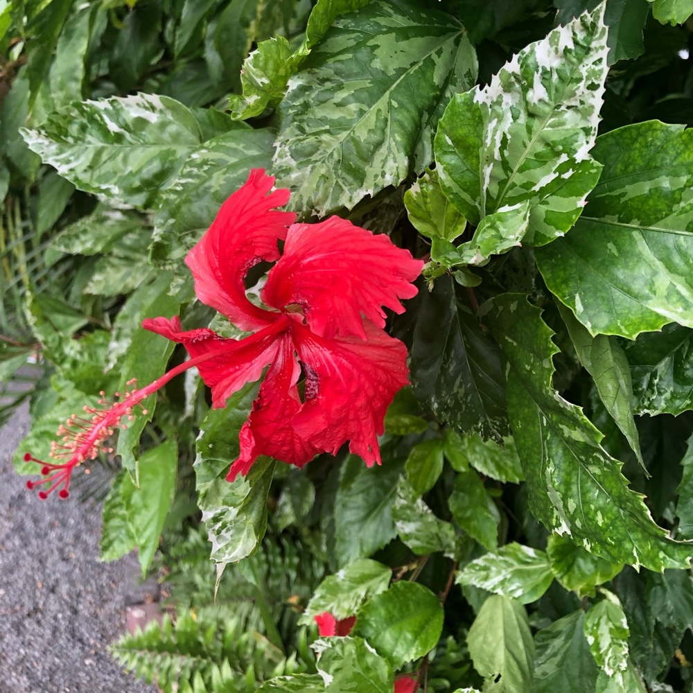 Feel Free to Send Me Offers!!